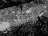 image of grave number 790613